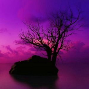 Meet your Posher, Ariana